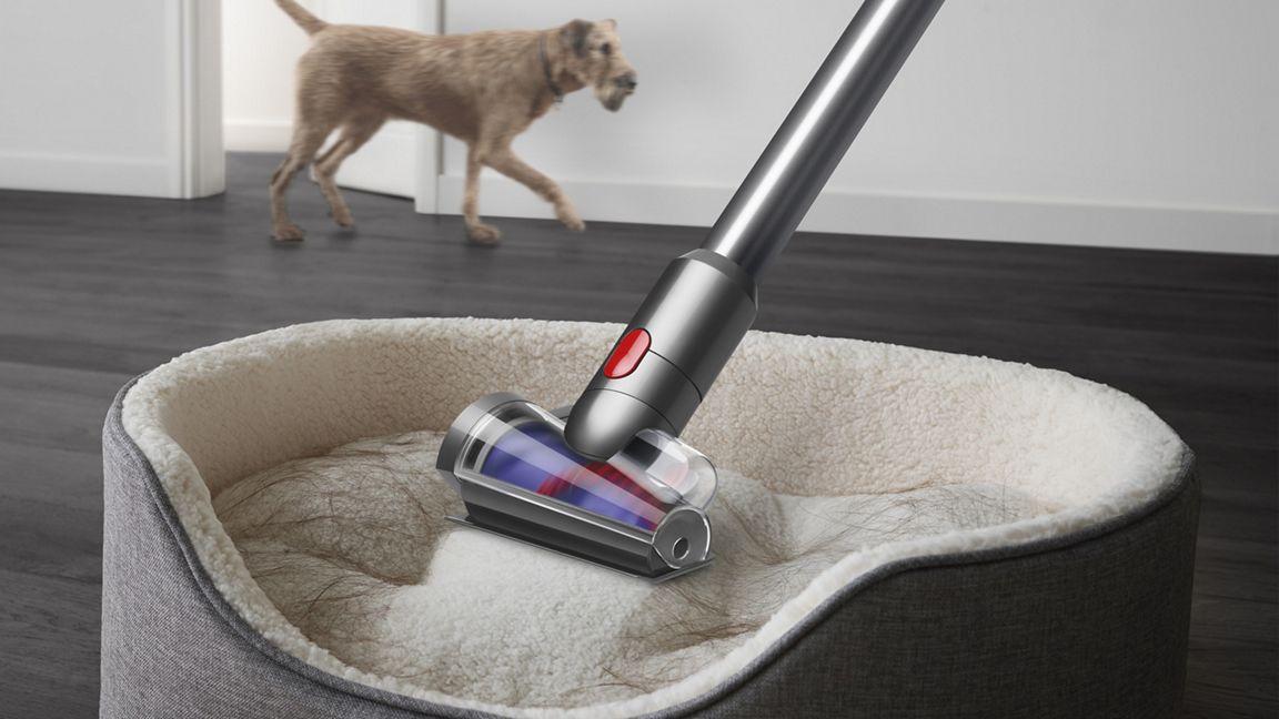 Aspirateur sans-fil Dyson V12 Detect Slim™ Absolute (jaune / nickel) Dyson