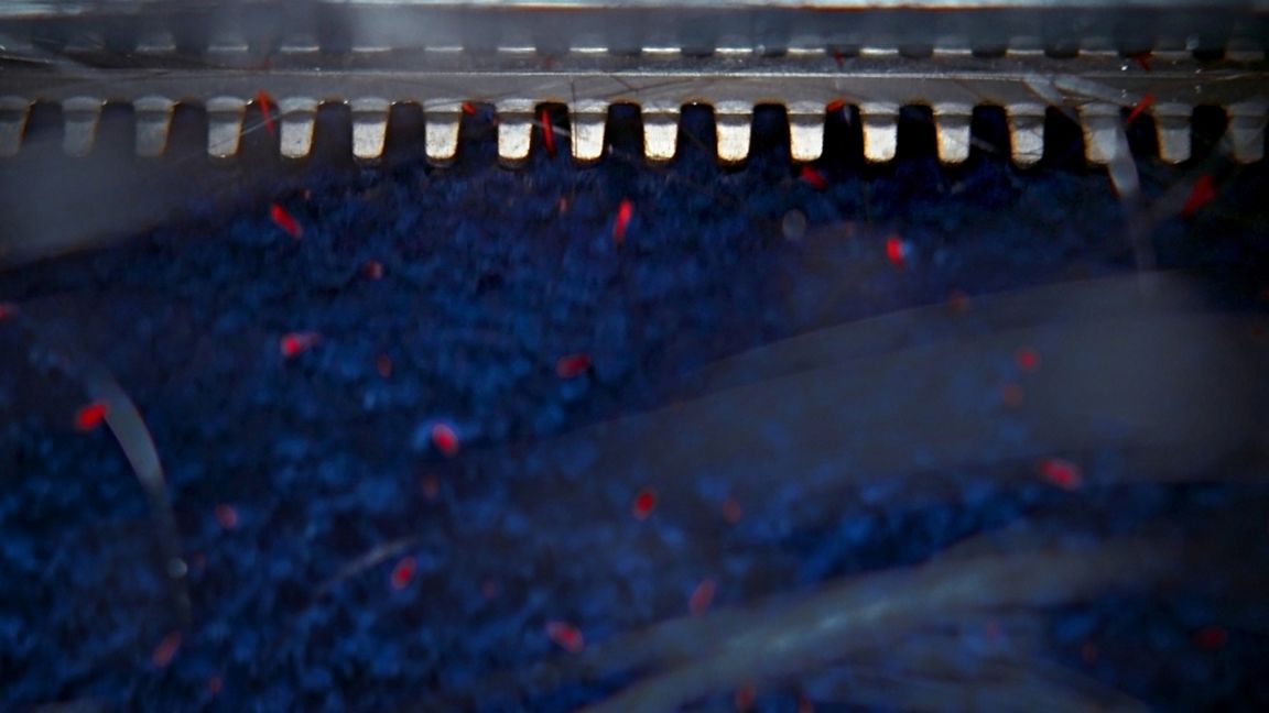 Nettoyeur de sols Dyson Clean+Wash Hygiene™ Dyson